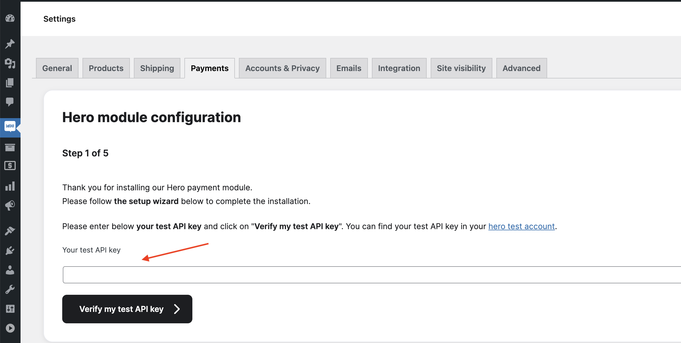 Inserimento chiave API test